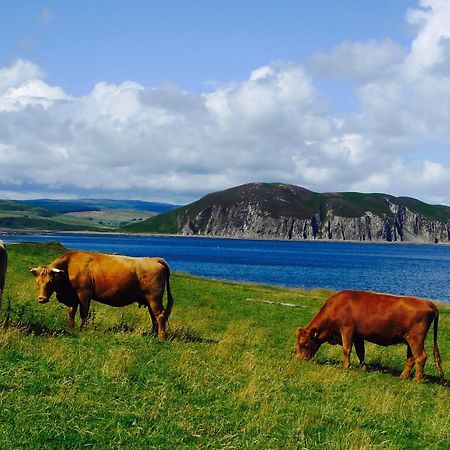 Rural Farmhouse On Kintyre, West Coast Hidden Gem Kildalloig Екстериор снимка